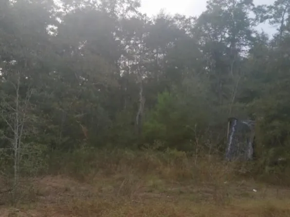 Tindal Dr, Altha, FL 32421