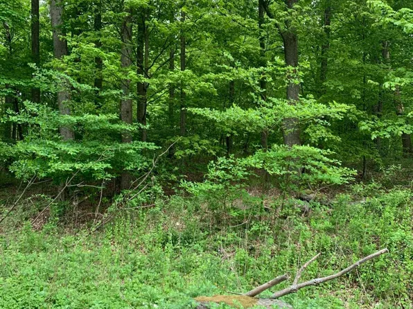 Old Route 611 Domiano Dr, Moscow, PA 18444