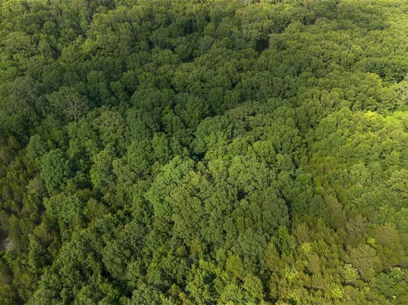 0 Private Drive 3522, Saint James, MO 65559