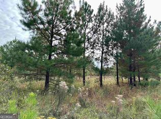 0 Hudson Ln, Dublin, GA 31021