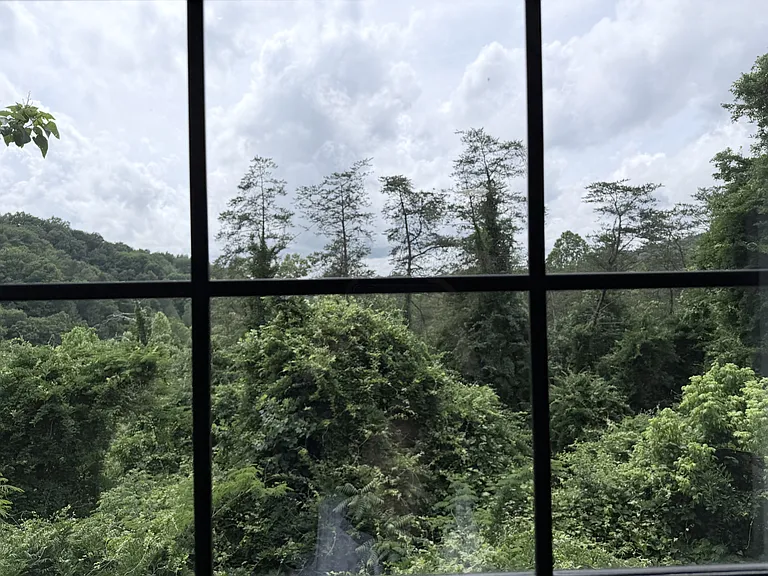 Views from bedroom 2