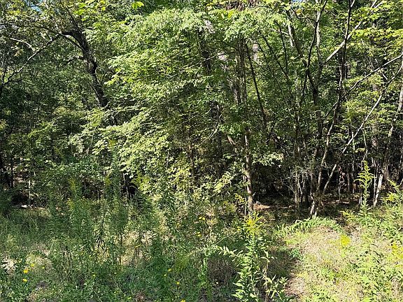 2nd image of Honeysuckle Lot 10