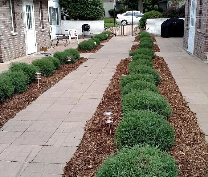 Landscaped Courtyard