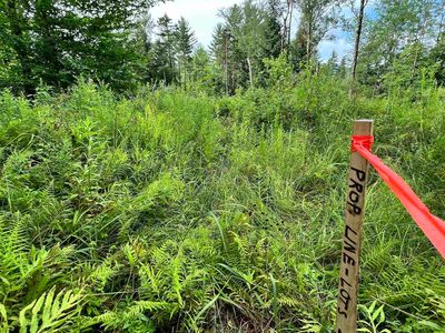 1416 Clif Reynolds Road #3, Cambridge, VT, 05444