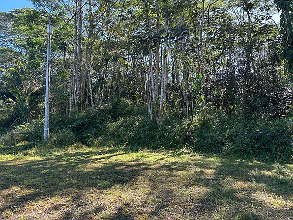 5th image of Hyla Cir Lot 8