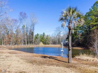 225 McLeod Rd, Chapin, SC 29036