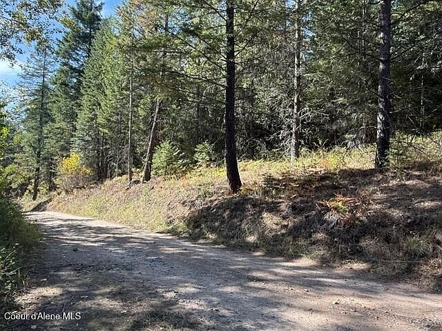 1st image of Gold Cup Mountain Rd