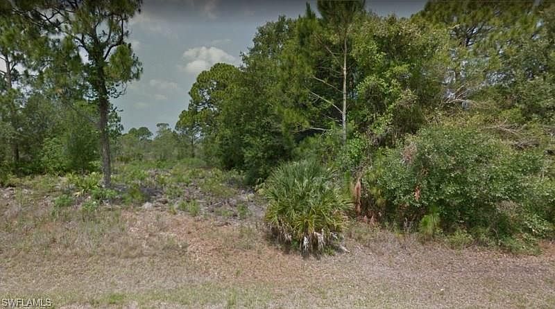 1st image of 691 Bald Cypress Ave
