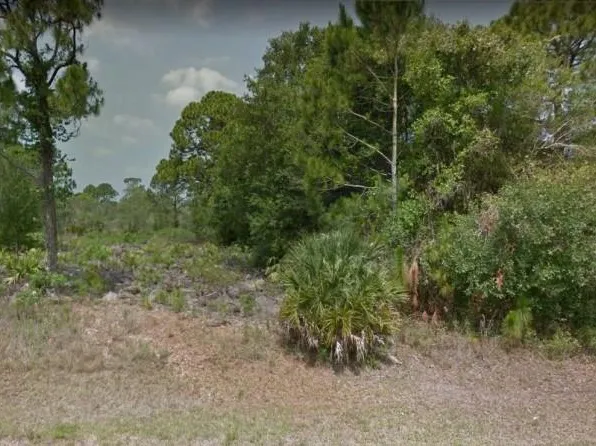 691 Bald Cypress Ave, Clewiston, FL 33440