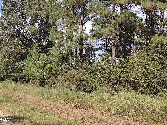 3rd image of Deer Creek Rd Lot 258