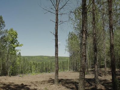 0 Worley Rd Lot 4, Soddy Daisy, TN, 37379