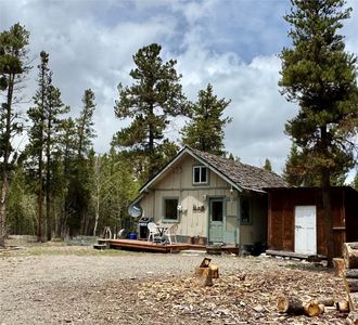 721 Buckskin Rd, Alma, CO, 80420