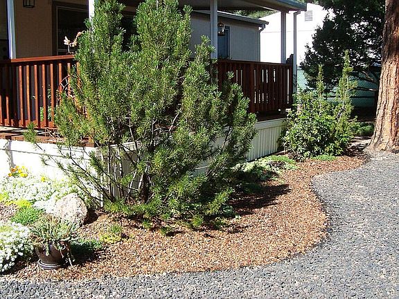 Low maintenance landscaping