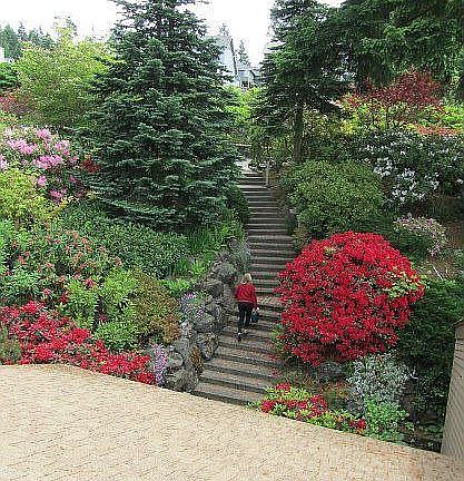 4th image of 8224 26th Ave NW