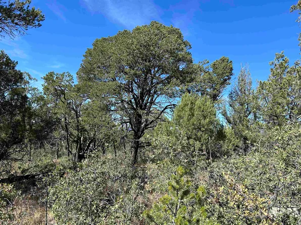 Gentle Breeze Ln, Timberon, NM 88350