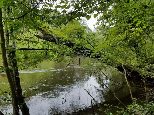 0 Peirce Rd, Ridgeville, SC 29472