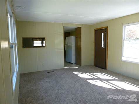 Sunny living room