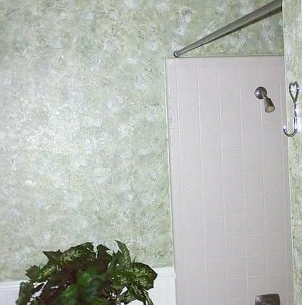 Hall bath with tub/shower combo.