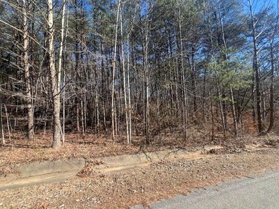 0 Lees Ridge Rd #13, Martinsville, VA, 24112