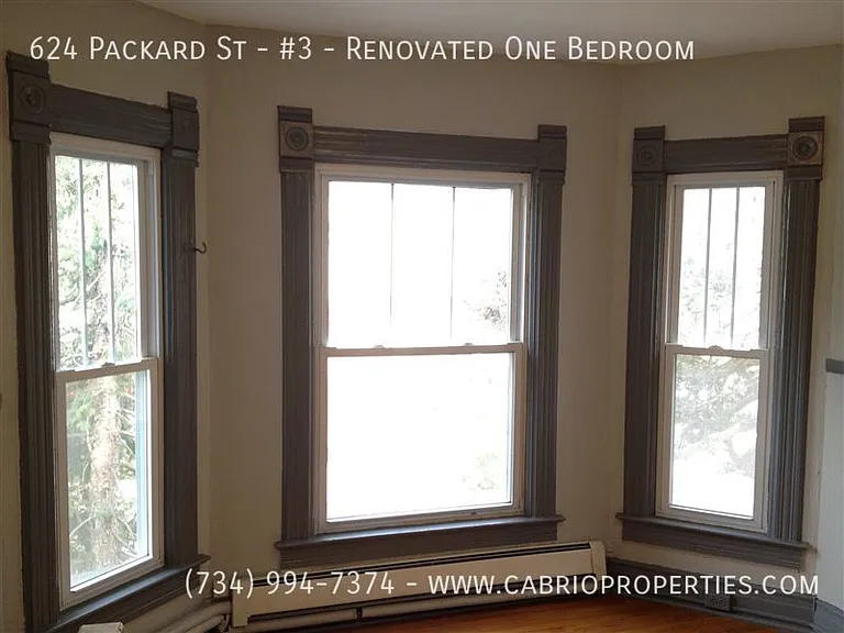 624 Packard St — Photo 18