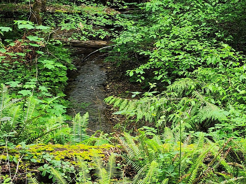 1st image of 0 Louis Creek Rd