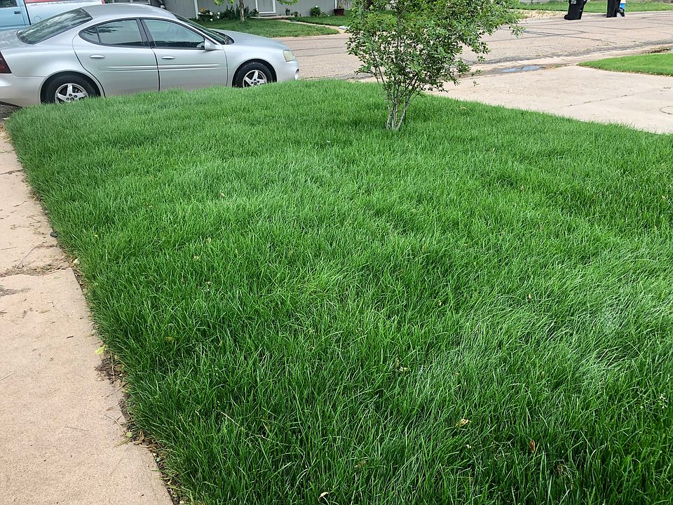 1st image of 2505 9th Avenue Ct