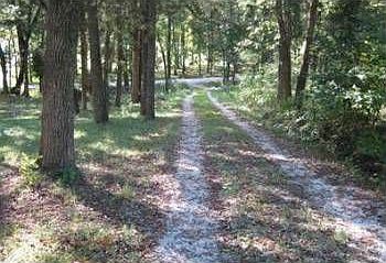 2nd image of 10 Walnut Park Dr