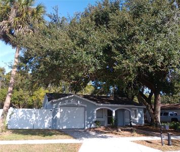 21439 Northwood Dr, Lutz, FL, 33549