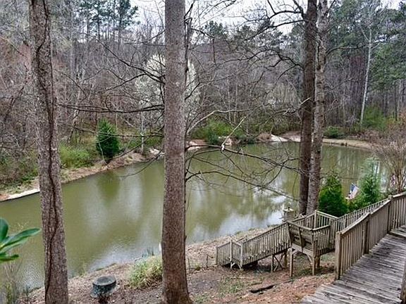 backyard 4