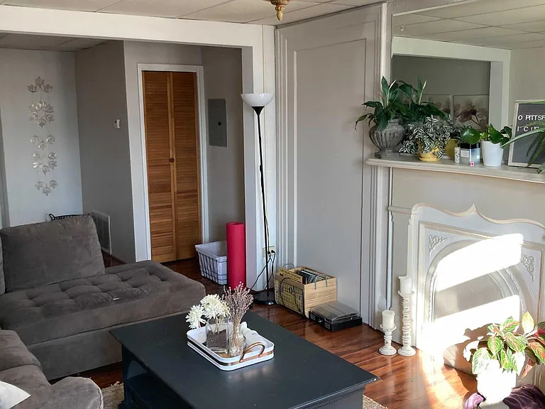 Bright and spacious living room