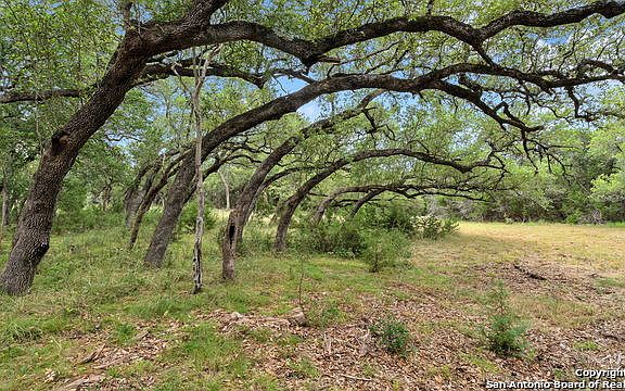 4th image of 5689 Comal Vis