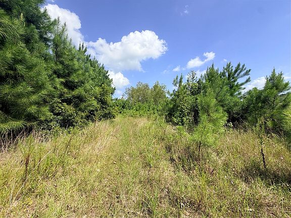 3rd image of 385 County Road 3773
