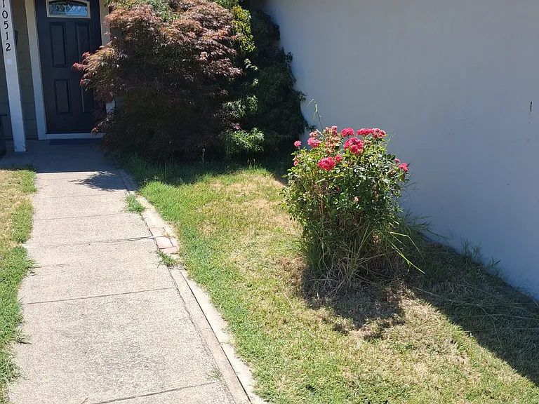 10512 Glenview Way — Photo 6