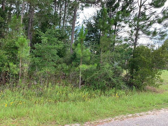 3rd image of 2363 Knotty Pine Dr