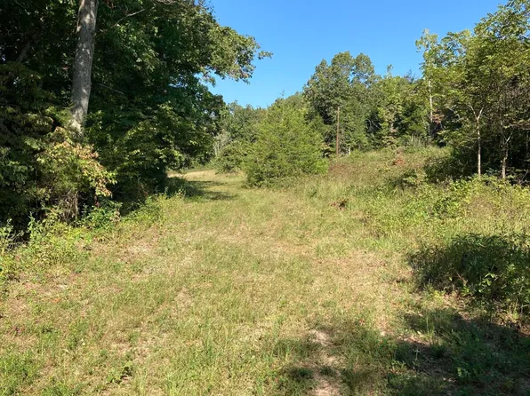 Box 110 Rr 62, Mansfield, MO 65704