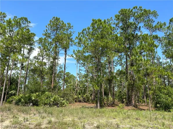 709 Truman Ave, Lehigh Acres, FL 33972