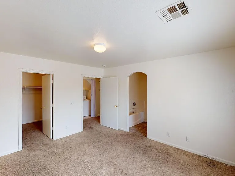 10005 Mystic Dance St — Photo 21