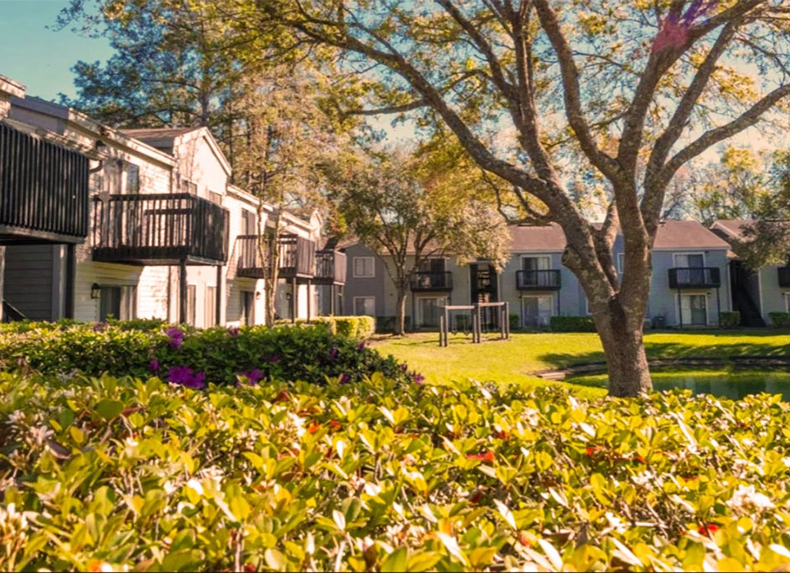 PALM TRACE APARTMENTS — Photo 1