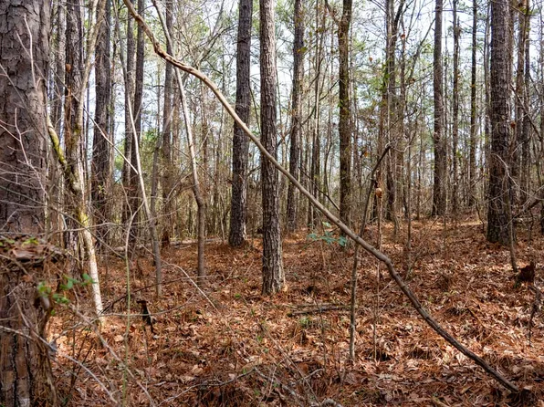 Dove Ct, Wilsonville, AL 35186