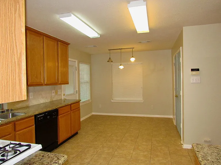 11126 Cactus Point Ct — Photo 8
