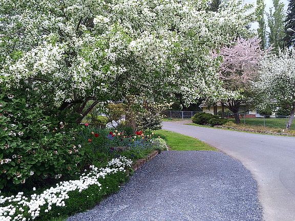 5th image of 20610 18th Ave W