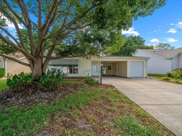 1133 Del Toro Dr, Lady Lake, FL 32159