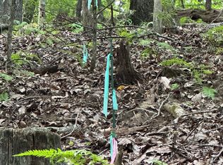 12 Pickelsimer Mountain Ln, Morganton, GA 30560