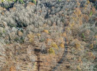 99999 Black Bear Ridge Trl, Zirconia, NC 28790