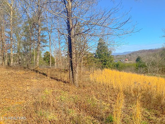 2nd image of 675 Reagan Valley Rd