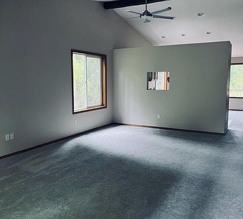 Living room with (or without) dining room is light filled.