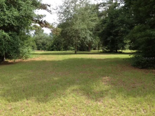15161 N Us Highway 441, Reddick, FL 32686