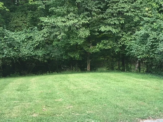 54 Woodlawn Ave #2 — Photo 9