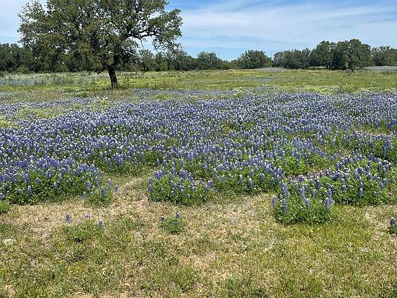 4th image of 9445 State Highway 71