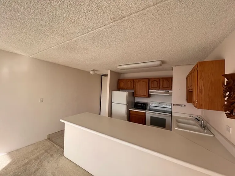 411 Hobron Ln #3704 — Photo 7